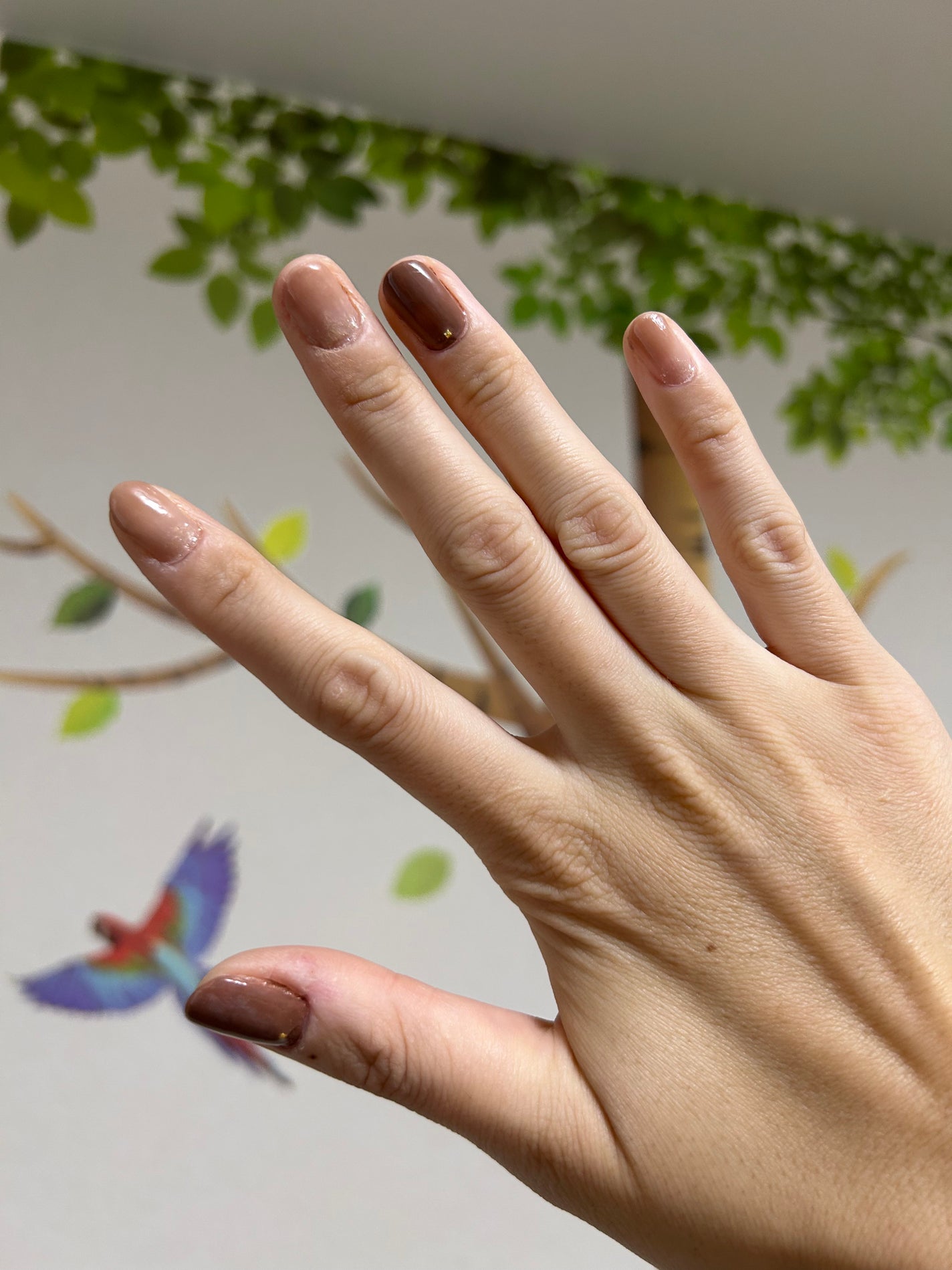 カラフルネイルズ/キャンメイク/マニキュアを使ったクチコミ(3枚目)