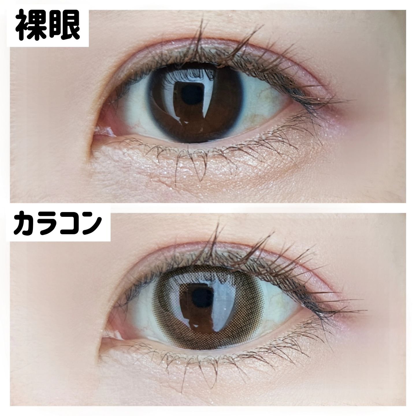 TOPARDS 1day デートトパーズ/TOPARDS/ワンデー（１DAY）カラコンを使ったクチコミ（3枚目）