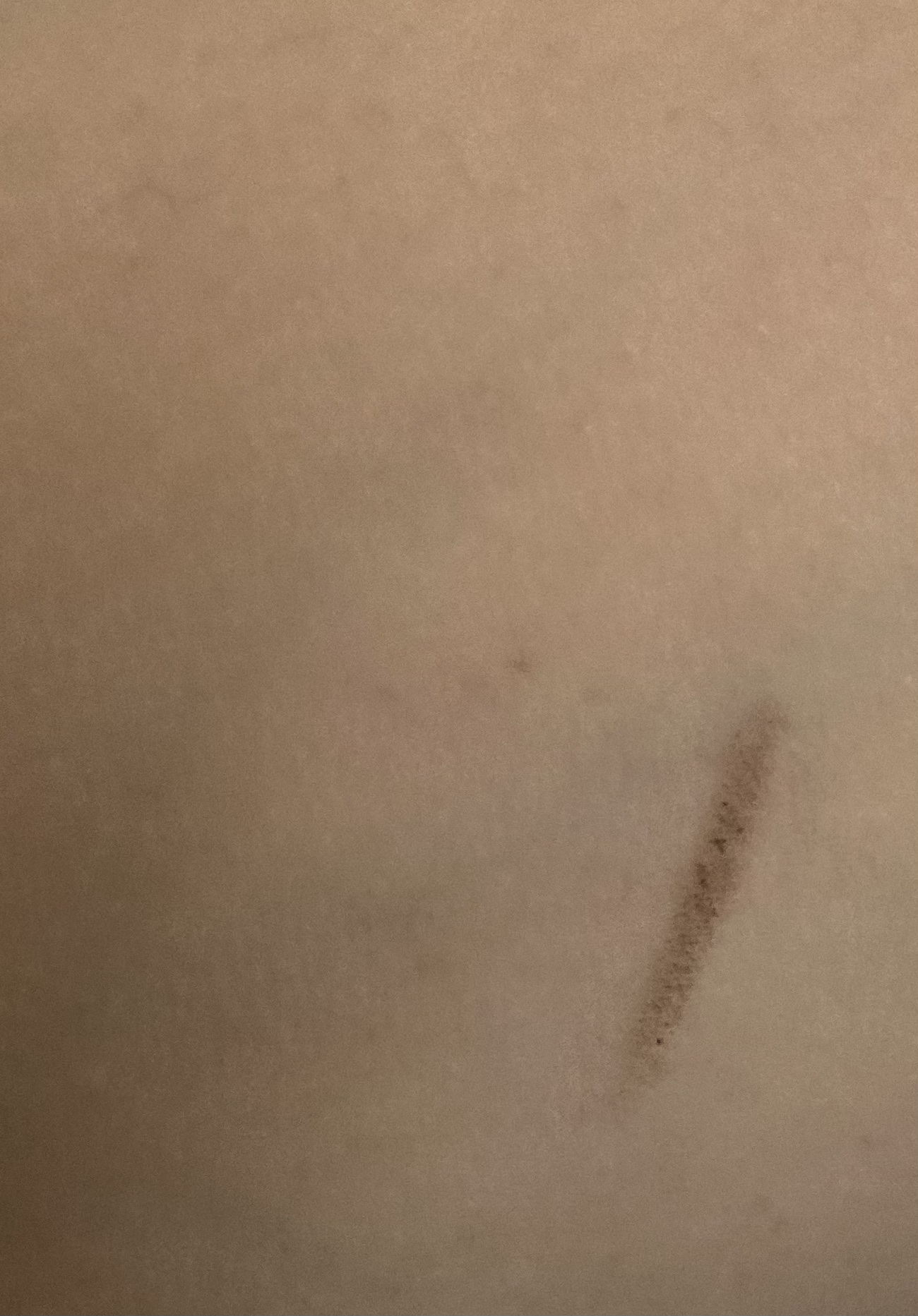 だ円芯 アルミ アイブローペンシル/DAISO/アイブロウペンシルを使ったクチコミ（2枚目）