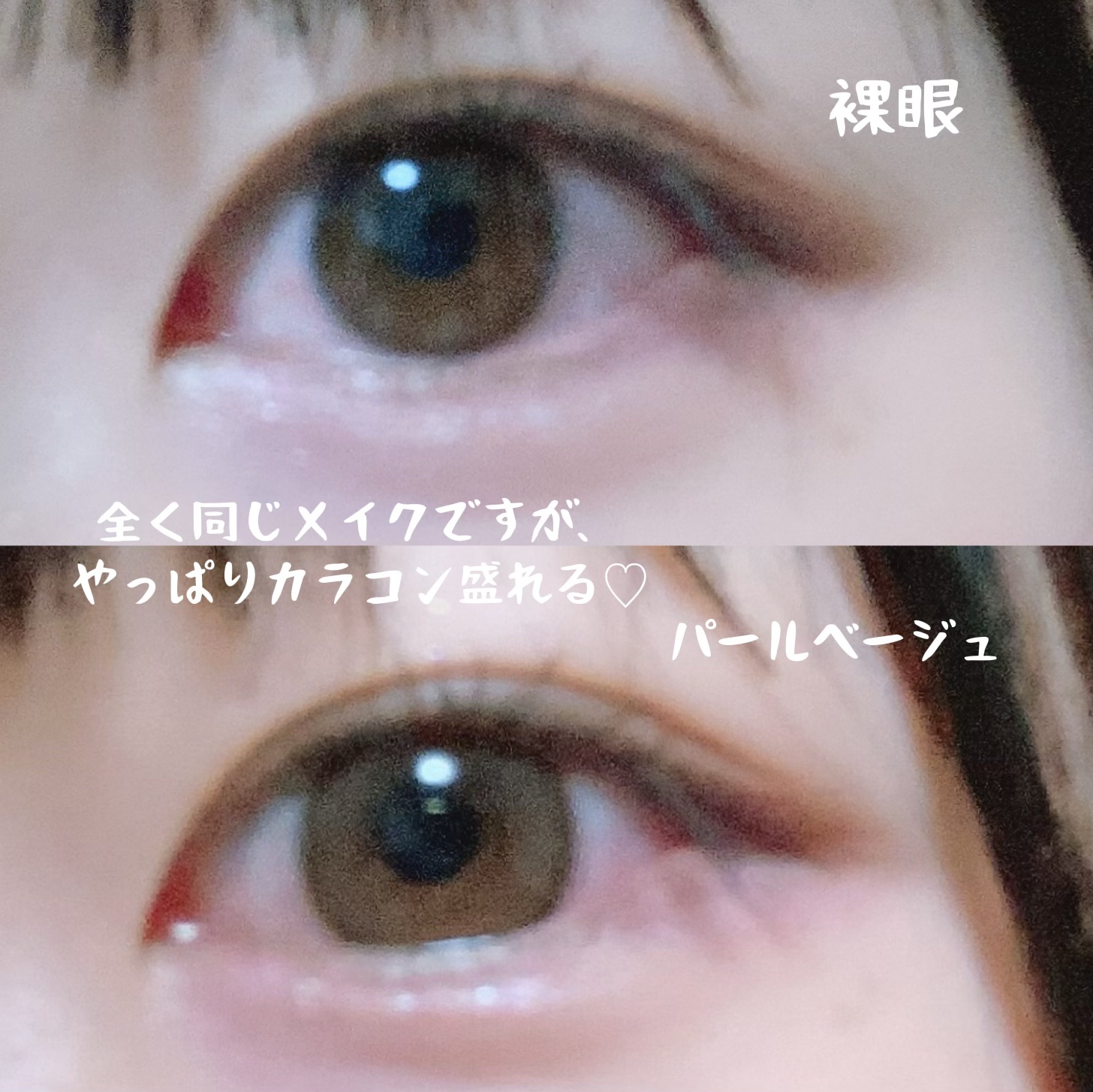 エバーカラーワンデー ナチュラル/エバーカラー/ワンデー（１DAY）カラコンを使ったクチコミ（3枚目）