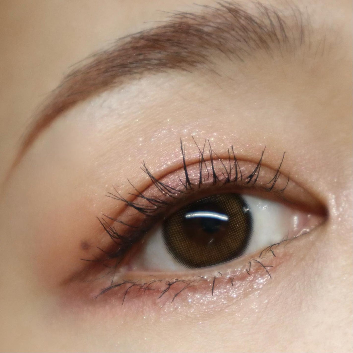 プティパレットアイズ/キャンメイク/パウダーアイシャドウを使ったクチコミ(6枚目)