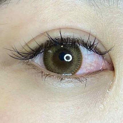 Mimyu Series/TeAmo/カラーコンタクトレンズを使ったクチコミ(3枚目)