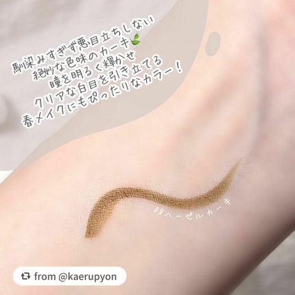 スキルレスライナー/LUMIURGLAS/リキッドアイライナーを使ったクチコミ(2枚目)