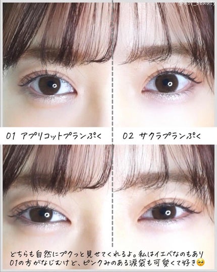 プランぷくコーデアイズ/キャンメイク/パウダーアイシャドウを使ったクチコミ(5枚目)