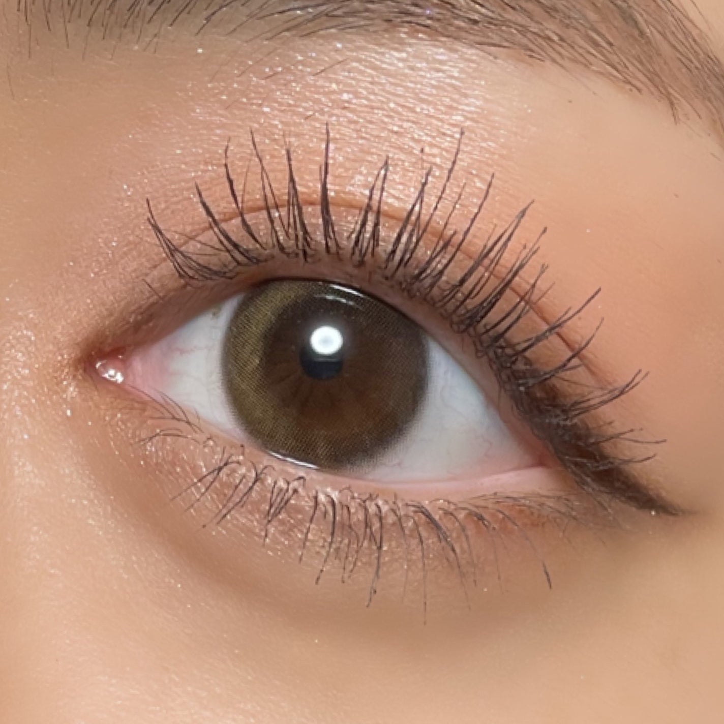 TOPARDS 1day/TOPARDS/ワンデー(1DAY)カラコンを使ったクチコミ(3枚目)