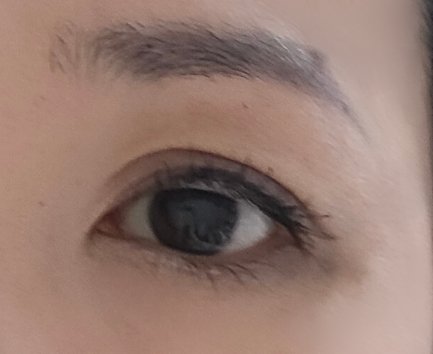 アイ＆ブロウ パレット/ドクターハウシュカ　/アイシャドウパレットを使ったクチコミ（2枚目）