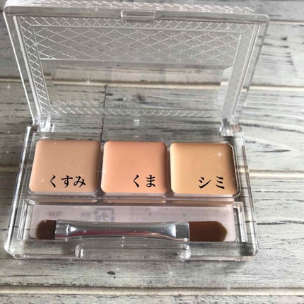 パレットコンシーラー/CEZANNE/パレットコンシーラーを使ったクチコミ(2枚目)