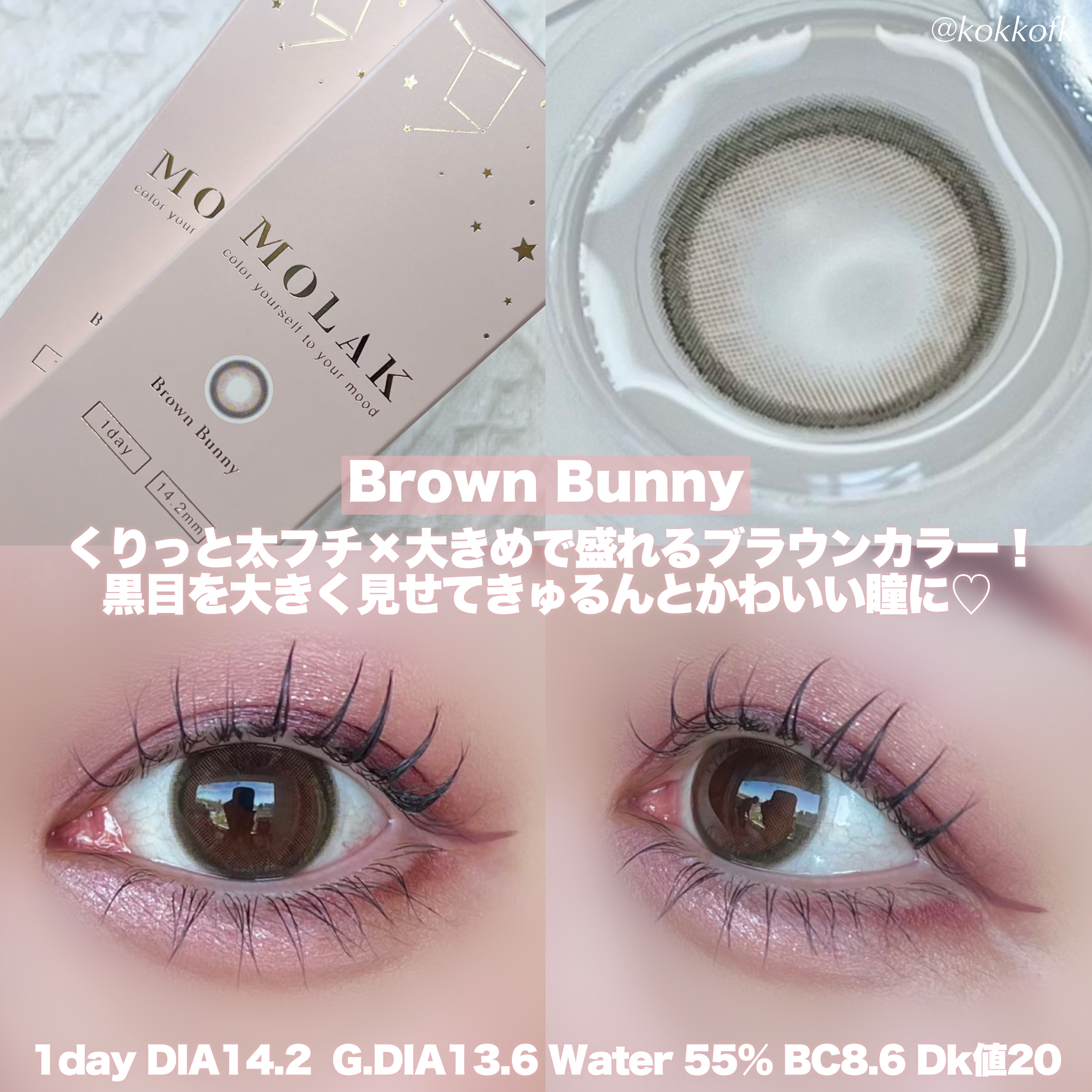 MOLAK 1day | ブラウンバニー MOLAK | LIPS SHOPPING