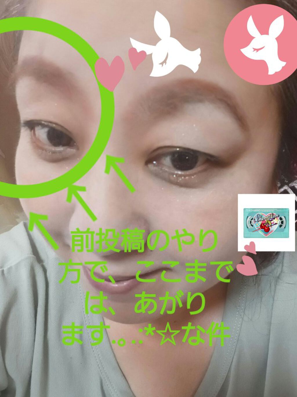 レトロマグネティック アイシャドウパレット/FlowerKnows/アイシャドウパレットを使ったクチコミ（1枚目）