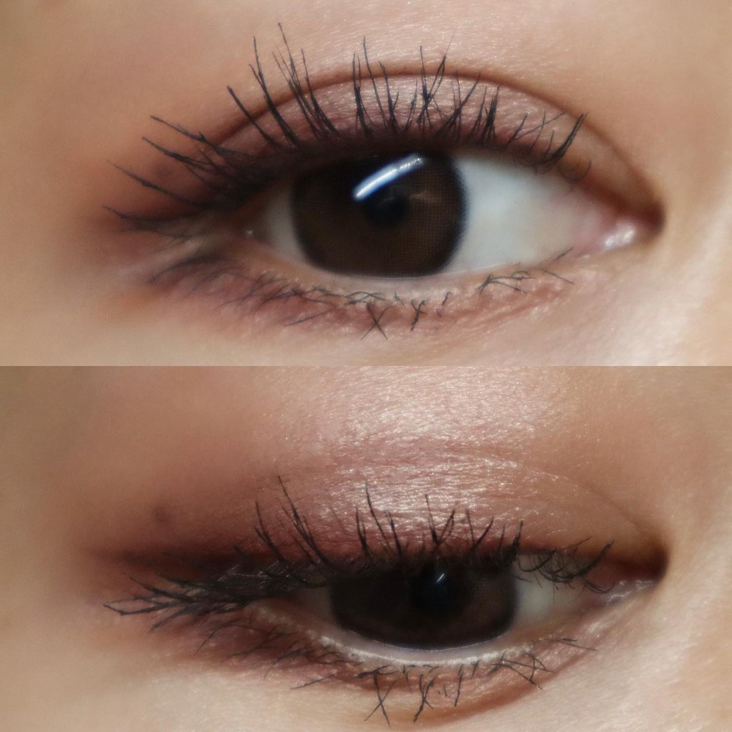 ツイン カラー アイシャドウ/ちふれ/アイシャドウパレットを使ったクチコミ(7枚目)