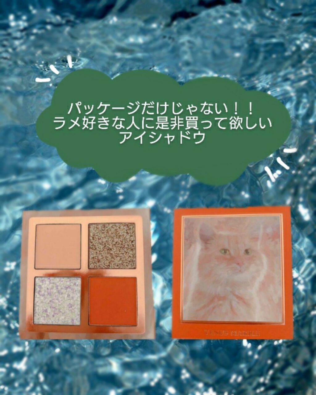 Venus Marble アイシャドウキャットシリーズ/Venus Marble/アイシャドウパレットを使ったクチコミ(1枚目)