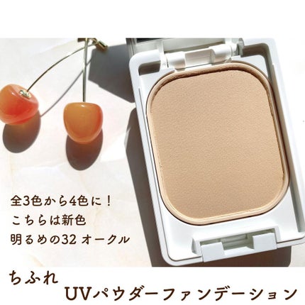 ファンデーション ケース/ちふれ/その他化粧小物を使ったクチコミ(3枚目)