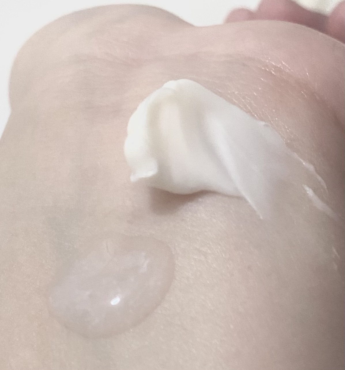 プロバイオダーム™ コラーゲンリモデリングセラム/BIOHEAL BOH/美容液を使ったクチコミ（2枚目）