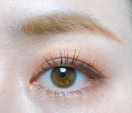 Love Chocolate アイシャドウ/Witch's Pouch/アイシャドウパレットを使ったクチコミ(2枚目)