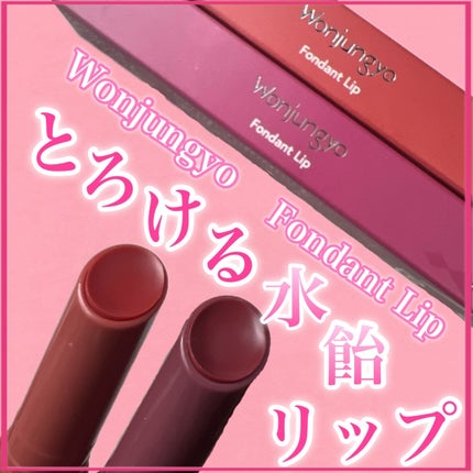 ウォンジョンヨ フォンダンリップ/Wonjungyo/口紅を使ったクチコミ(1枚目)