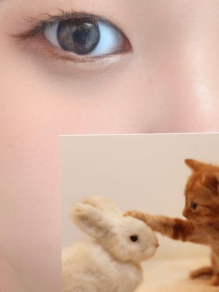 パーフェクトスタイリストアイズ/キャンメイク/アイシャドウパレットを使ったクチコミ(2枚目)