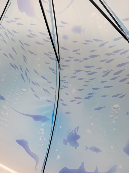 えのすい×Wpc. アンブレラ/Wpc./その他を使ったクチコミ(8枚目)