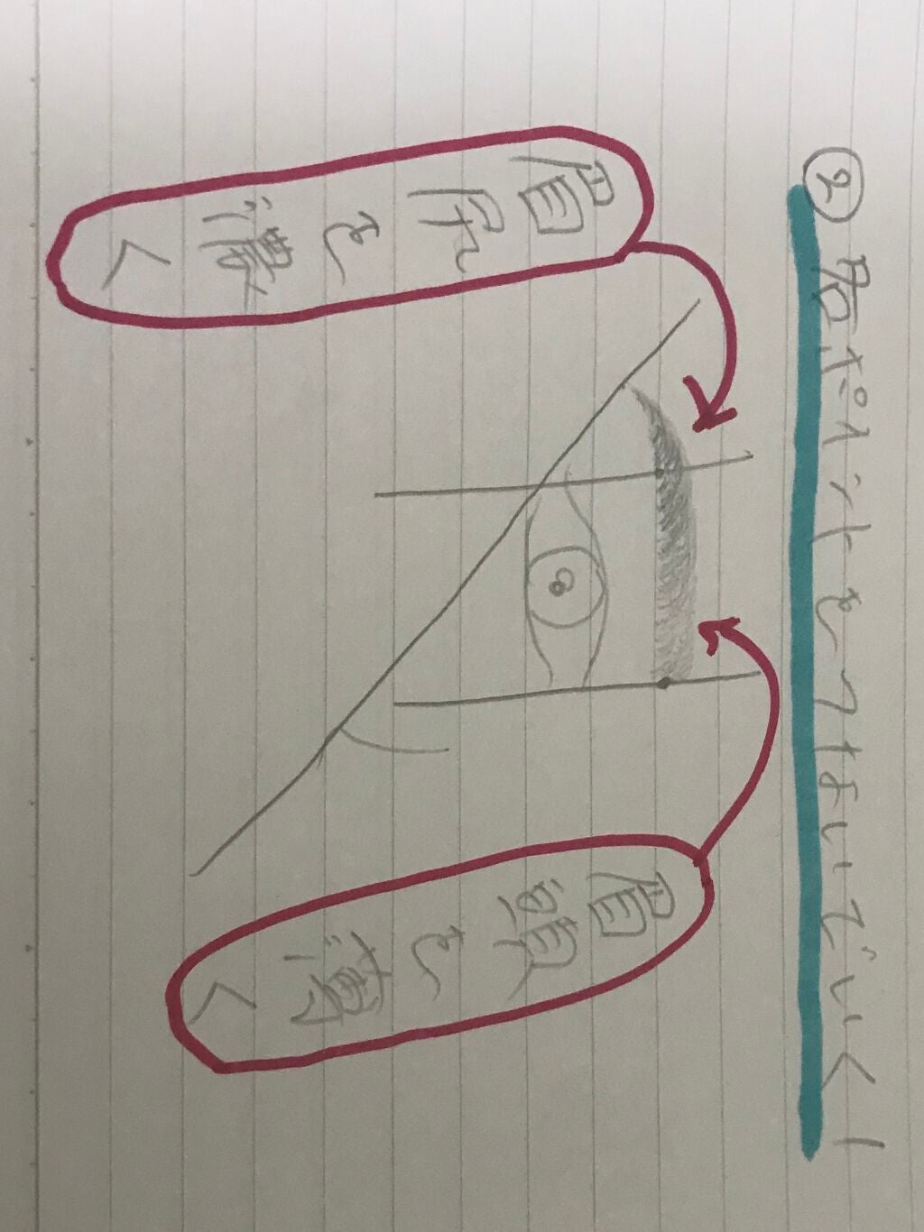 yn614✨毎日投稿 on LIPS 「眉毛の書き方のポイント紹介です!私がいつも意識していることをま..」(3枚目)