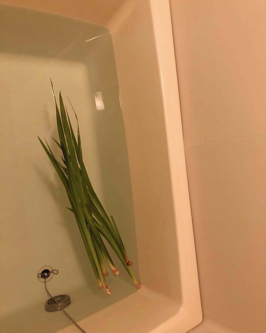 美的 2020年6月号/美的/雑誌を使ったクチコミ(3枚目)