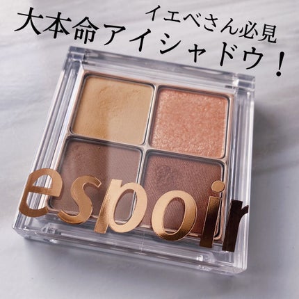 リアルアイハンディパレット/espoir/アイシャドウパレットを使ったクチコミ(1枚目)