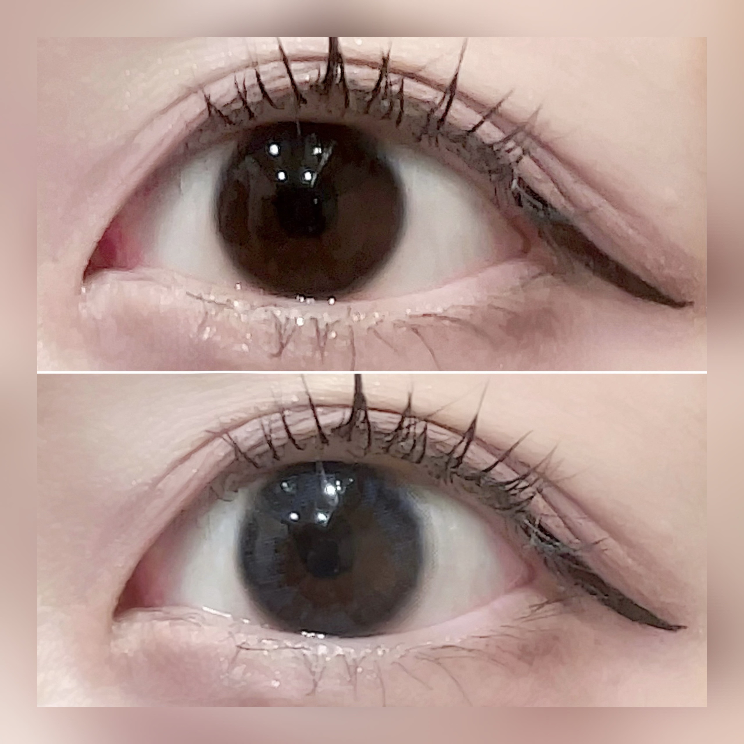 ramurie ラムリエ/ramurie/ワンデー（１DAY）カラコンを使ったクチコミ（3枚目）