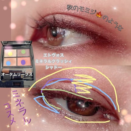 ミネラルクラッシィシャドー/エトヴォス/アイシャドウパレットを使ったクチコミ(2枚目)