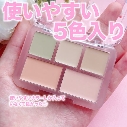 コンシールブレンダーパレット/LUNA/パレットコンシーラーを使ったクチコミ(3枚目)