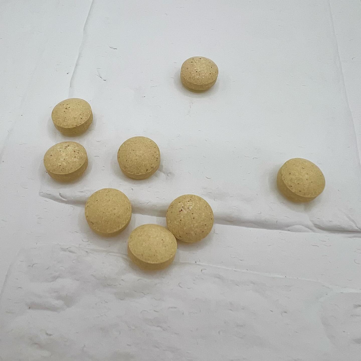 ボラケア バランス with セラミド ヒハツα/天藤製薬/健康サプリメントを使ったクチコミ（2枚目）