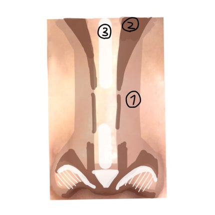 ã䜿ã£ãã¯ãã³ãïŒ2æç®ïŒ