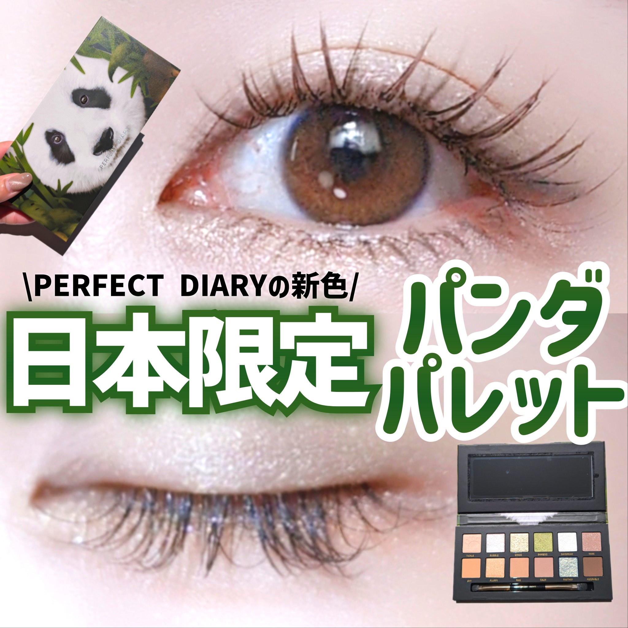 エクスプローラ12色 動物アイシャドウパレット/PERFECT DIARY/アイシャドウパレットを使ったクチコミ（1枚目）
