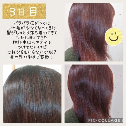 リラックス ミッドナイトリペア シャンプー/ヘアトリートメント (ストレート&グロス)/Je l'aime/市販シャンプーを使ったクチコミ(5枚目)