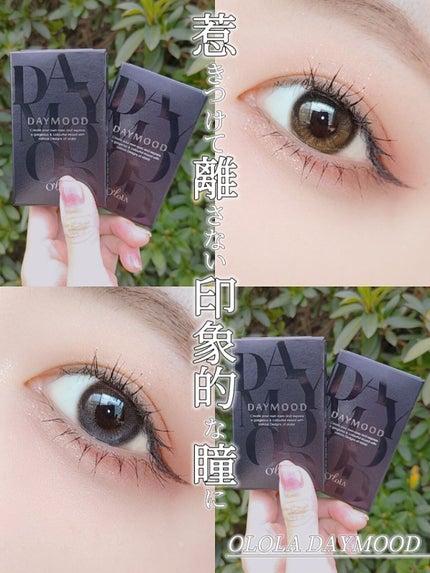 デームードブラウンマンスリー (DAYMOOD BROWN monthly)/OLOLA/1ヶ月(1MONTH)カラコンを使ったクチコミ(1枚目)