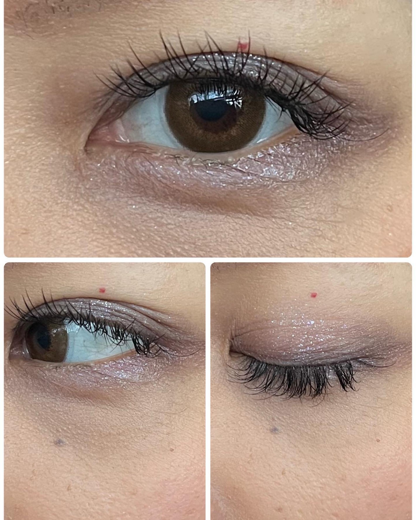 ドラマティックアイカラー (パウダー)/(クリーム)/マキアージュ/アイシャドウパレットを使ったクチコミ(4枚目)