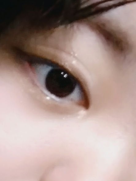 エクスプローラ12色 動物アイシャドウパレット/PERFECT DIARY/アイシャドウパレットを使ったクチコミ(6枚目)