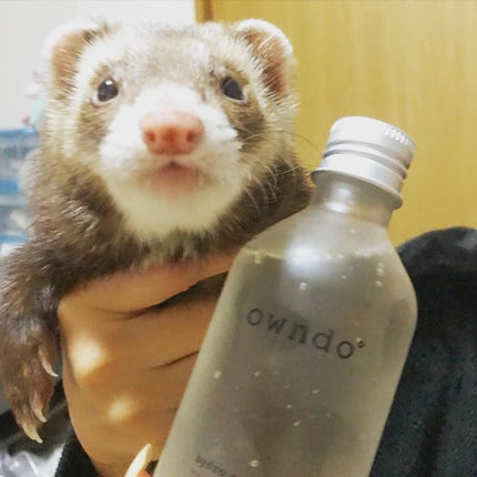 ハイドロCエッセンス/owndo°/美容液を使ったクチコミ(2枚目)