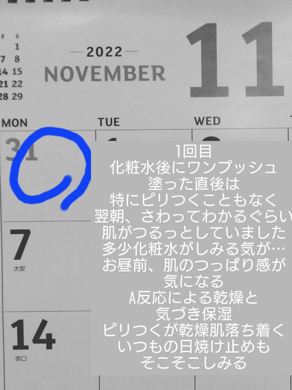 セラミドミルク/TOUT VERT/乳液を使ったクチコミ(2枚目)