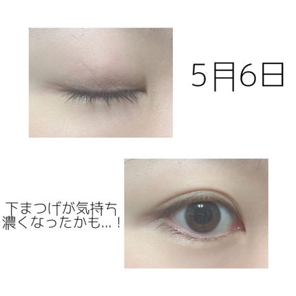 ロングアクティブアイラッシュセラム/COSNORI/まつげ美容液を使ったクチコミ(3枚目)