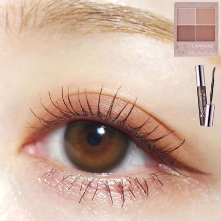 シルキースフレアイズ(マットタイプ)/キャンメイク/アイシャドウパレットを使ったクチコミ(1枚目)