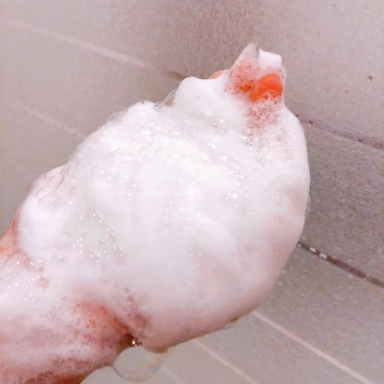 ラベンダーナイトタイムウォッシュ/Summer's Eve(サマーズイブ)/デリケートゾーンケアを使ったクチコミ(3枚目)