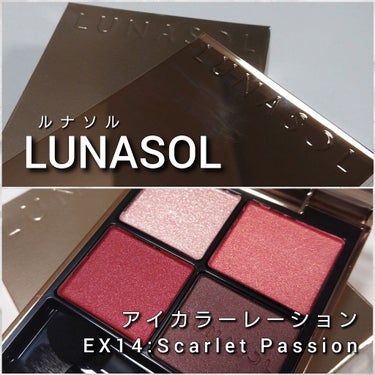 アイカラーレーション EX13 Modern Attitude（限定発売）/LUNASOL/アイシャドウパレットを使ったクチコミ（2枚目）