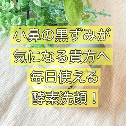 デイリーマイクロフォリエント/ダーマロジカ/洗顔パウダーを使ったクチコミ(1枚目)