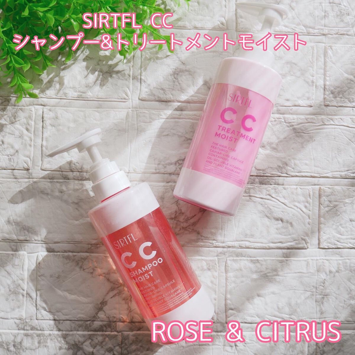 SIRTFL CC シャンプーモイスト/トリートメントモイスト/SIRTFL/市販シャンプーを使ったクチコミ(1枚目)