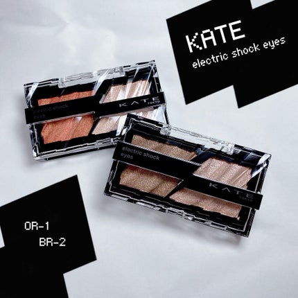 エレクトリックショックアイズ /KATE/アイシャドウパレットを使ったクチコミ(1枚目)