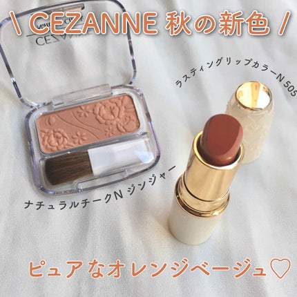 ナチュラル チークN/CEZANNE/パウダーチークを使ったクチコミ(1枚目)