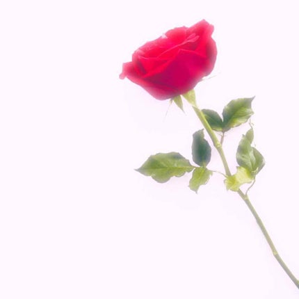 オードムーゲ 薬用ローション(ふきとり化粧水)/オードムーゲ/拭き取り化粧水を使ったクチコミ(1枚目)