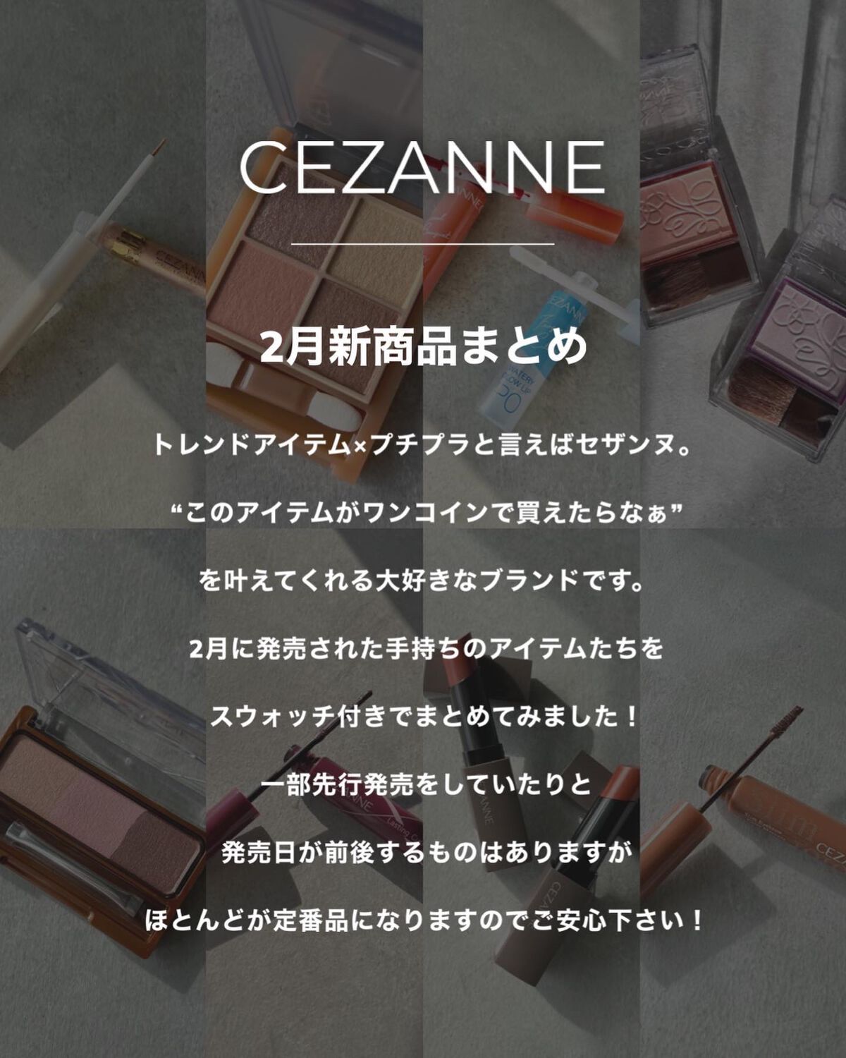 ノーズ＆アイブロウパウダー/CEZANNE/パウダーアイブロウを使ったクチコミ（2枚目）