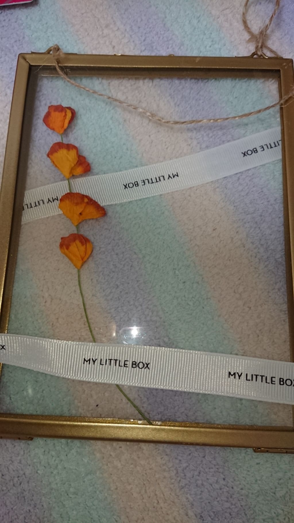 My Little Box/My Little Box/その他キットセットを使ったクチコミ(3枚目)