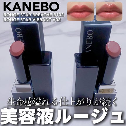 ルージュスターヴァイブラント/KANEBO/口紅を使ったクチコミ(1枚目)