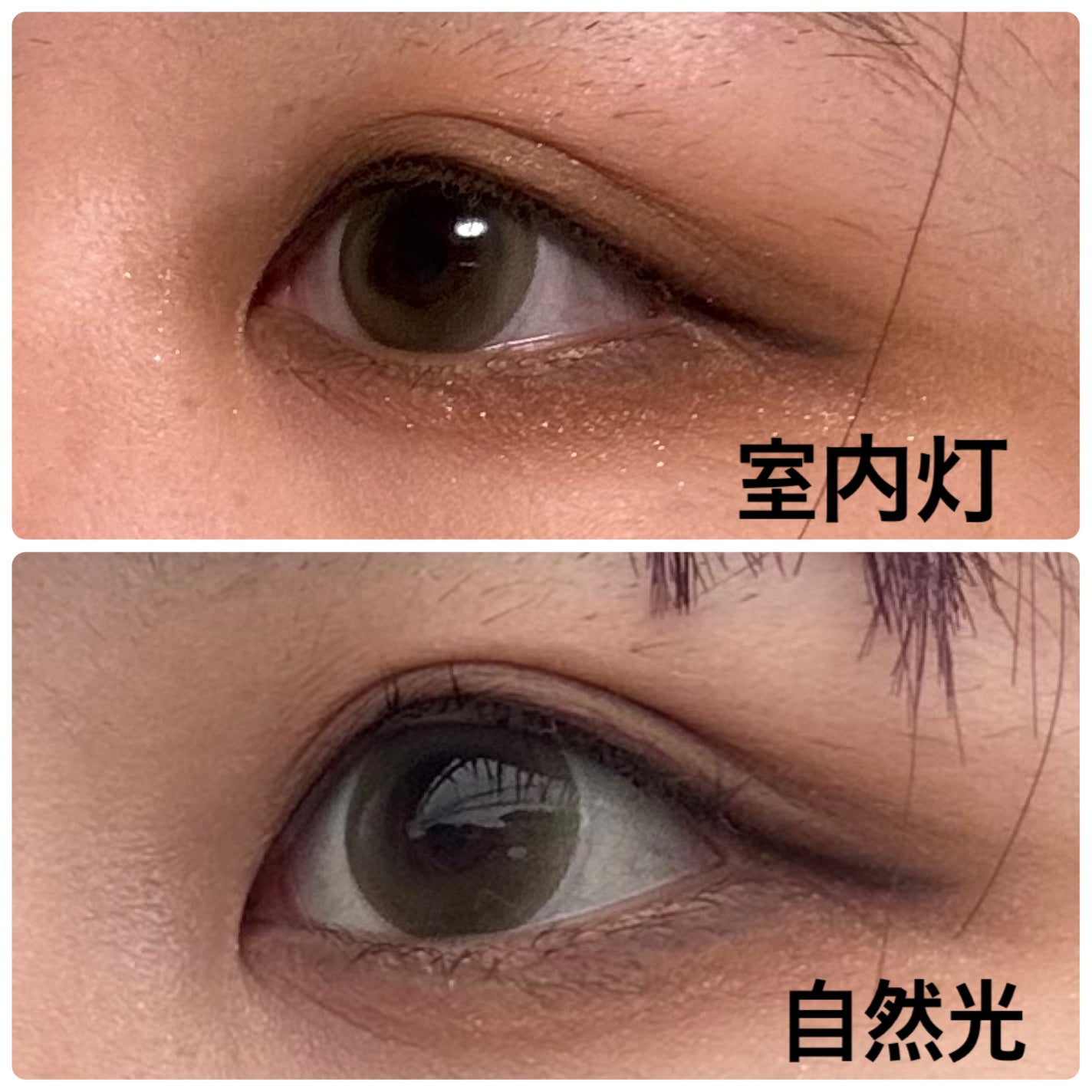 view it color 1day uv/view it/ワンデー(1DAY)カラコンを使ったクチコミ(2枚目)