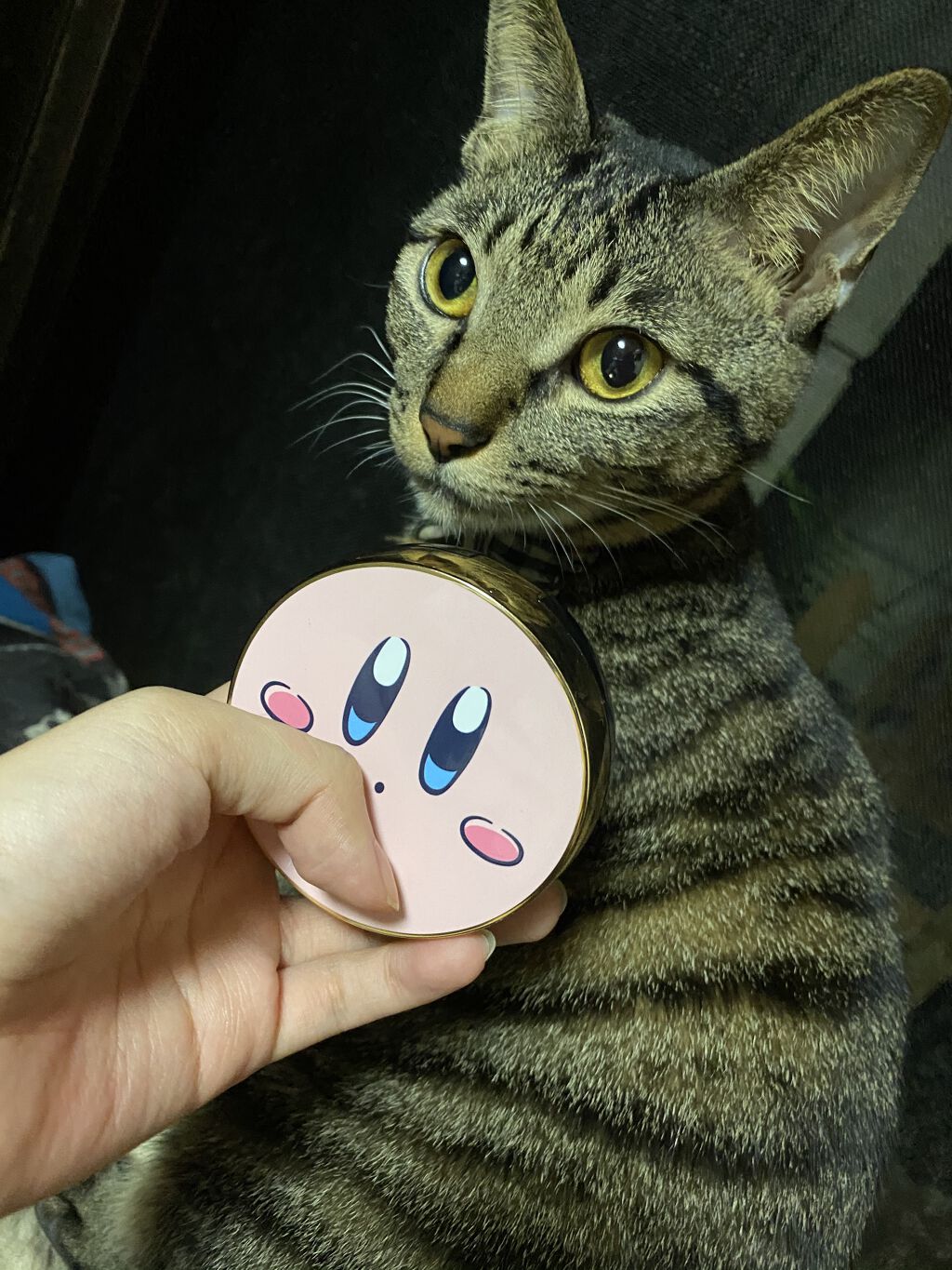 M クッション ファンデーション(モイスチャー)/MISSHA/クッションファンデーションを使ったクチコミ（2枚目）